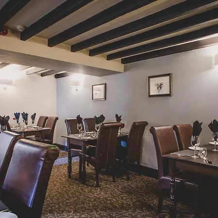 摩尔旅馆 宾馆 4*